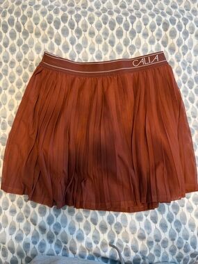 Calia Rust Pleated Mini Skirt and Matching Top